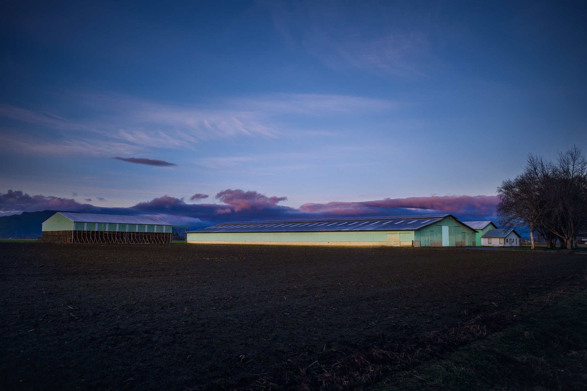 Saturday in Skagit County